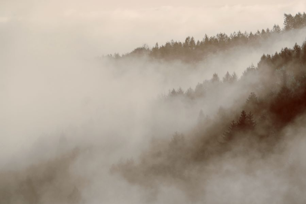 Фреска Applico, коллекция Natura