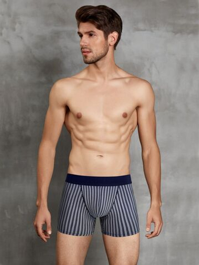 Мужские трусы-боксеры в полоску Doreanse Stripes (Размер: M) (Цвет: темно-синий)