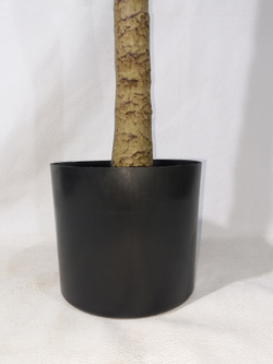 Искусственное Оливковое дерево 180см в кашпо