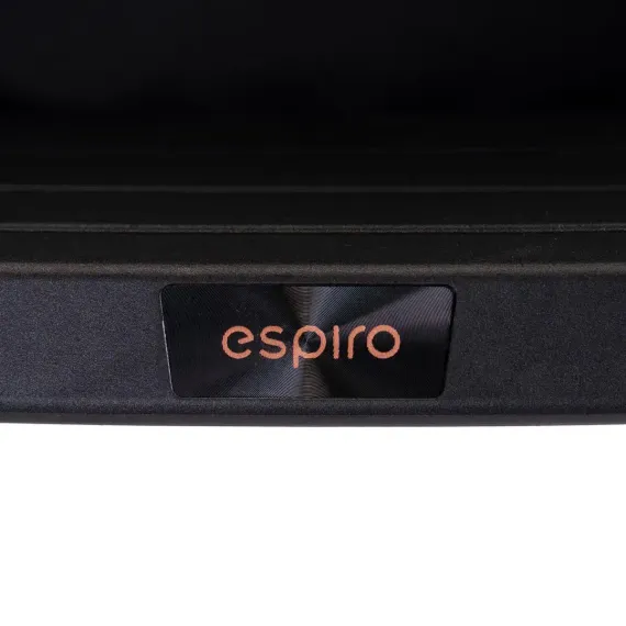 Прогулочная коляска Espiro Flame