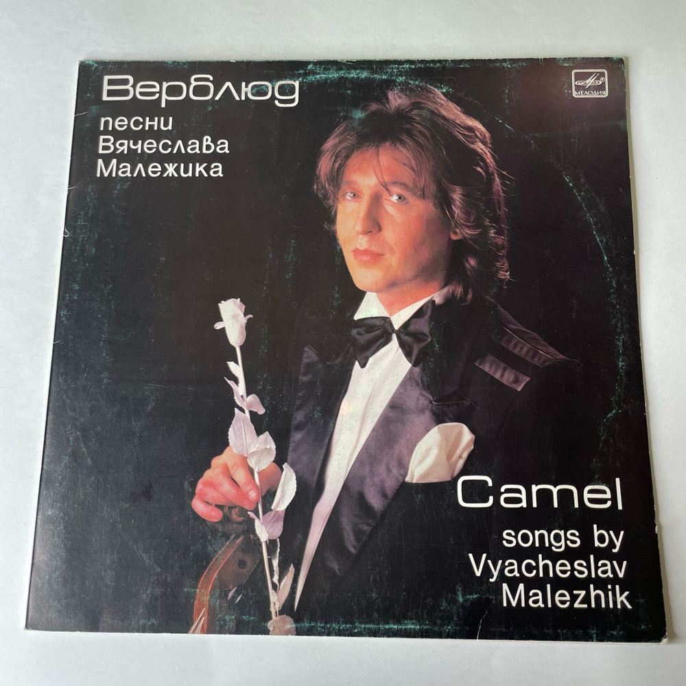 Винтажная виниловая пластинка LP Вячеслав Малежик / Саквояж, Верблюд (СССР 1988)