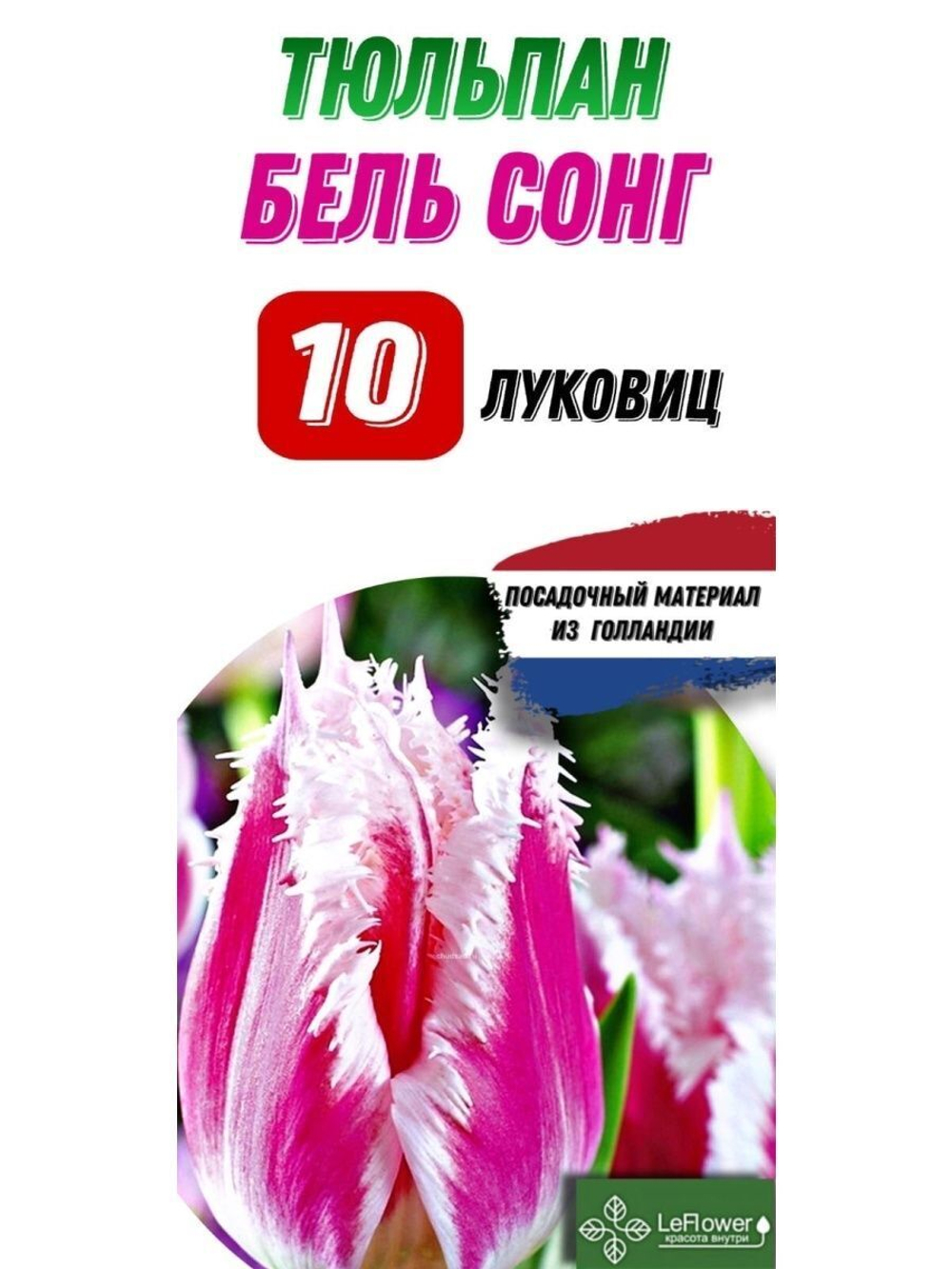 Тюльпан Луковица, Бель Сонг, 10шт