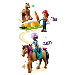 LEGO Friends — Дрессировка лошадей 41746