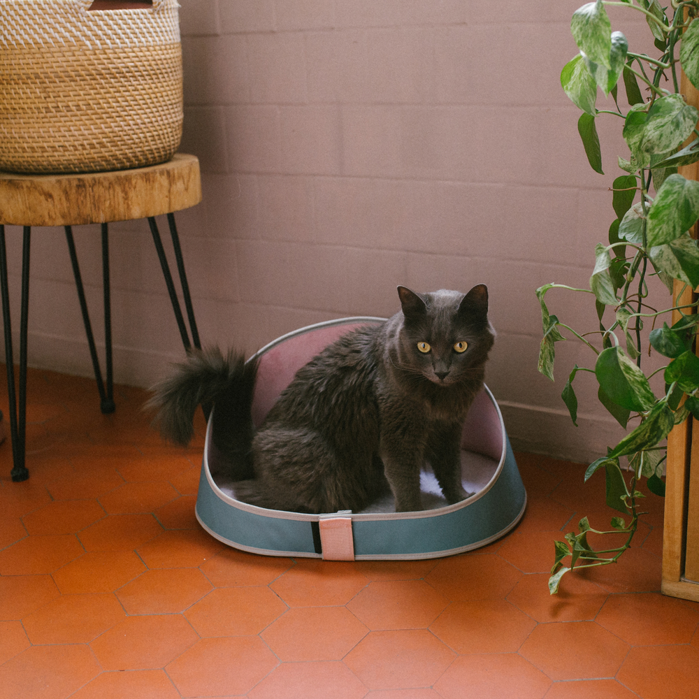 Лежанка KOMBUCHA Zee.Cat