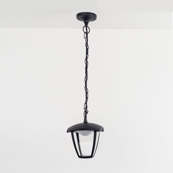 Уличный подвесной светодиодный светильник Citilux CLU04P