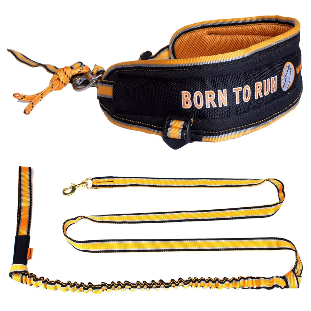 Пояс для каникросса в комплекте с потягом White Wolf серия Спорт