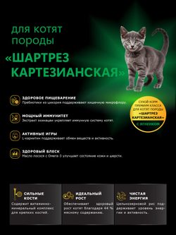 Корм сухой для котят породы Шартрез Картезианская, с ягненком, 400 гр, QUATTRO