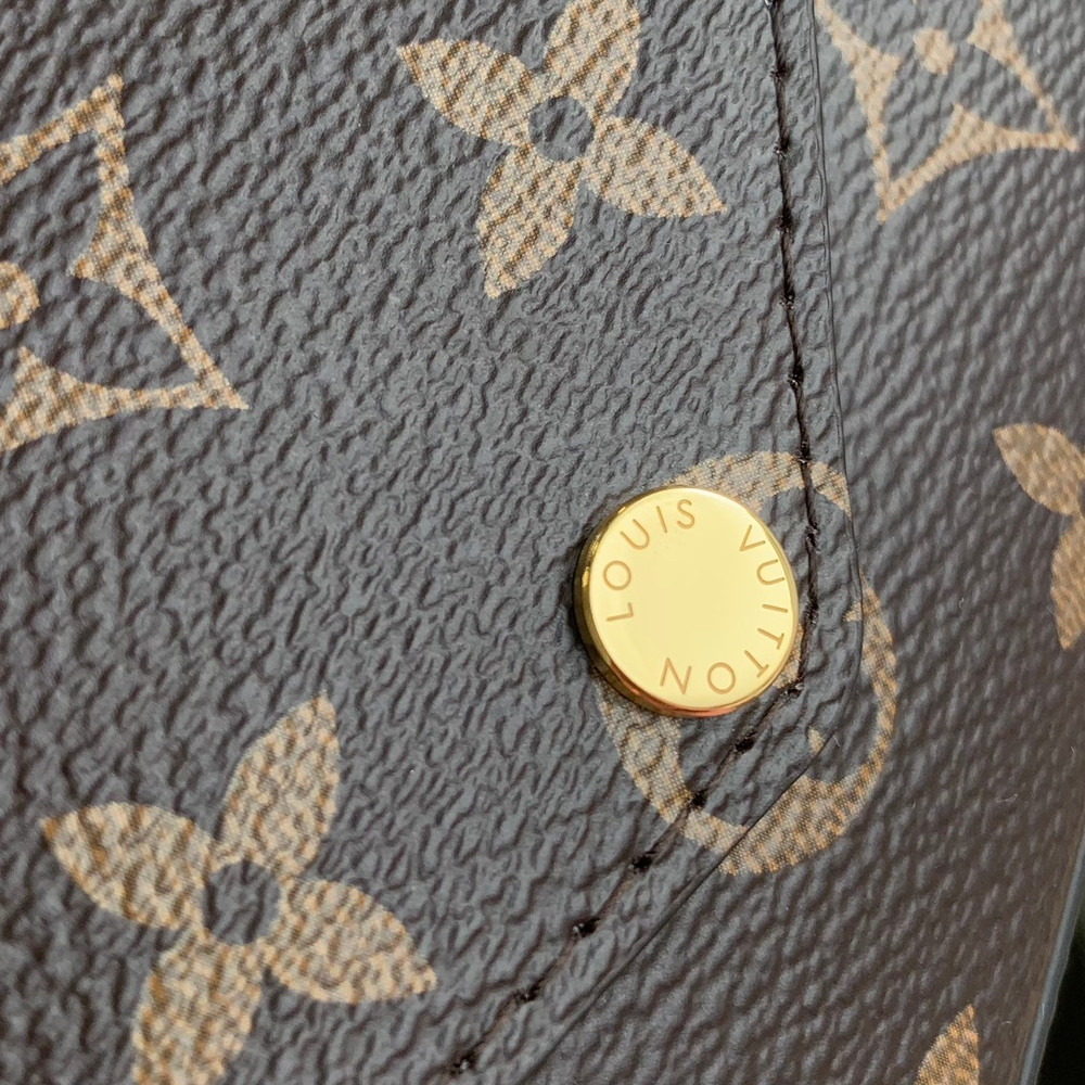 Louis Vuitton Felicie Strap & Go