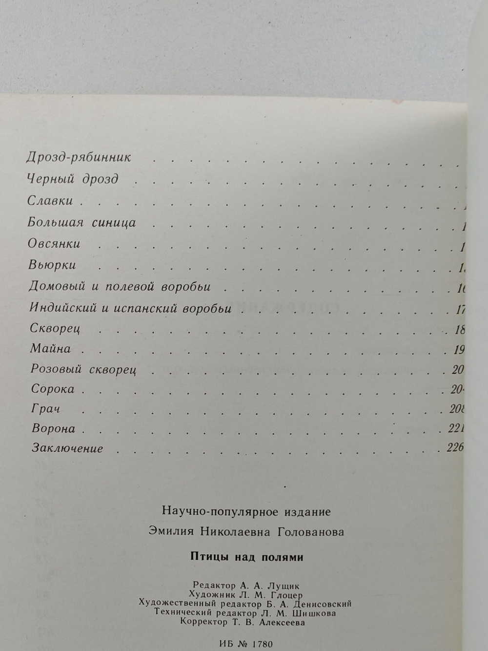 Птицы над полями