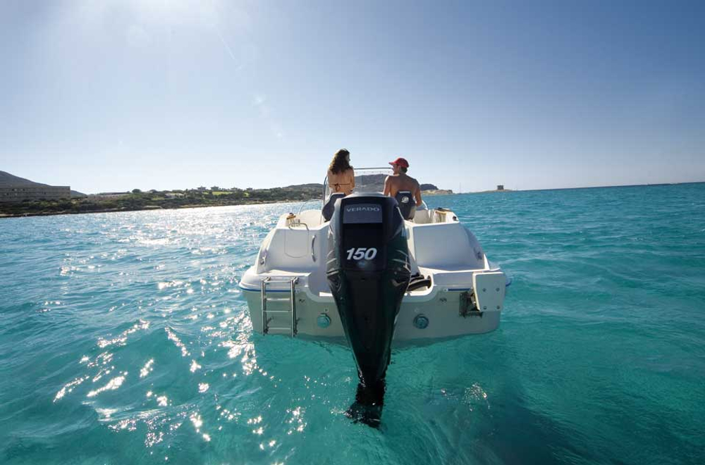 4х-тактный лодочный мотор MERCURY ME F 150 CXL EFI