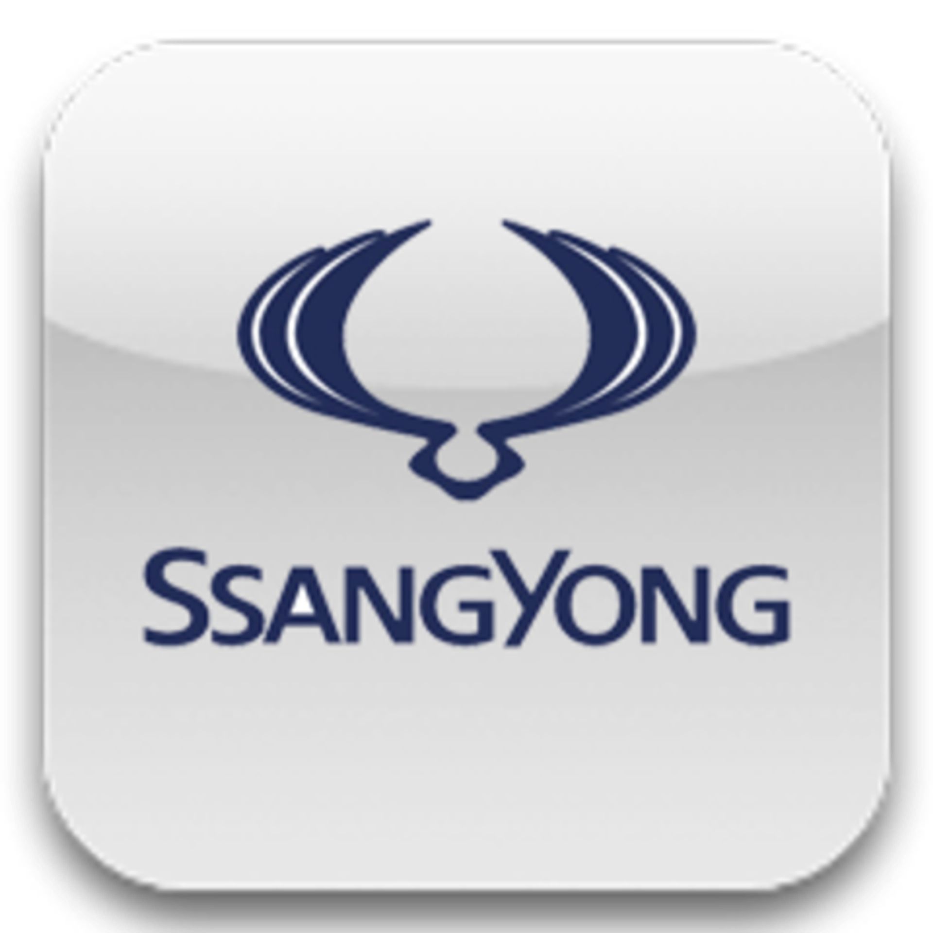 Ssang Yong