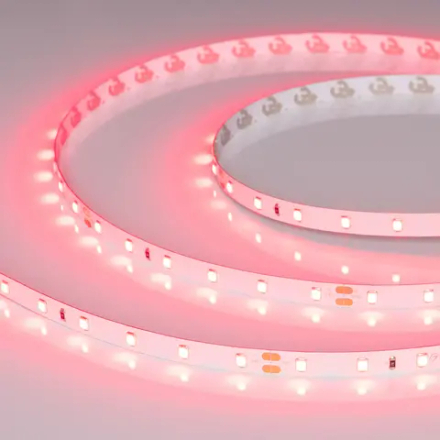 Светодиодная лента RT-A60-8mm 24V Ruby (4.8 W/m, IP20, 5m) (Arlight, -) 055374
