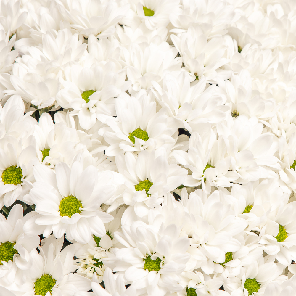 Ванильное небо