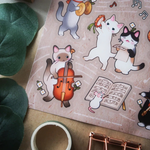 SQUARE CATS & MUSIC