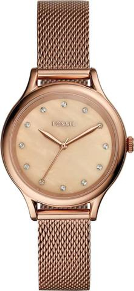 Наручные часы Fossil BQ3392