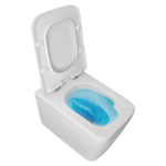 Унитаз подвесной Azario Dezi White 355х515х340 безободковый, слив "скрытое Торнадо", с быстросъемным сиденьем "Микролифт" (AZ-W05-SW)