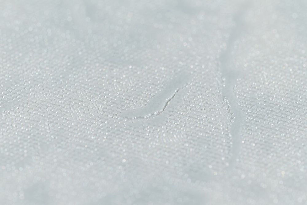 Комплект два рисунка и три фона