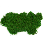 Мох плоский 1 кв.м.