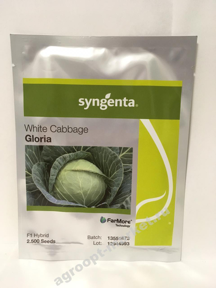 ГЛОРИЯ F1 семена капусты белокочанной (Syngenta | Alexagro) – фото 5