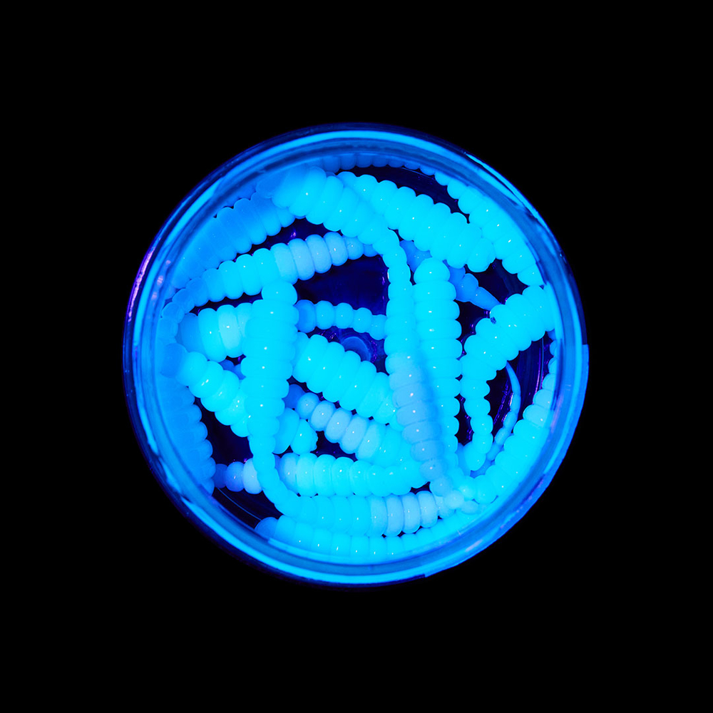 Форелевая приманка "Minoga" BOBR 3,2"(10шт) 80мм, 1,2гр, цвет 26