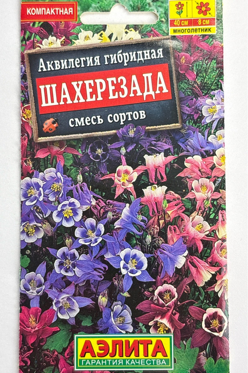 Аквилегия Шахерезада, смесь сортов СМЦ-355