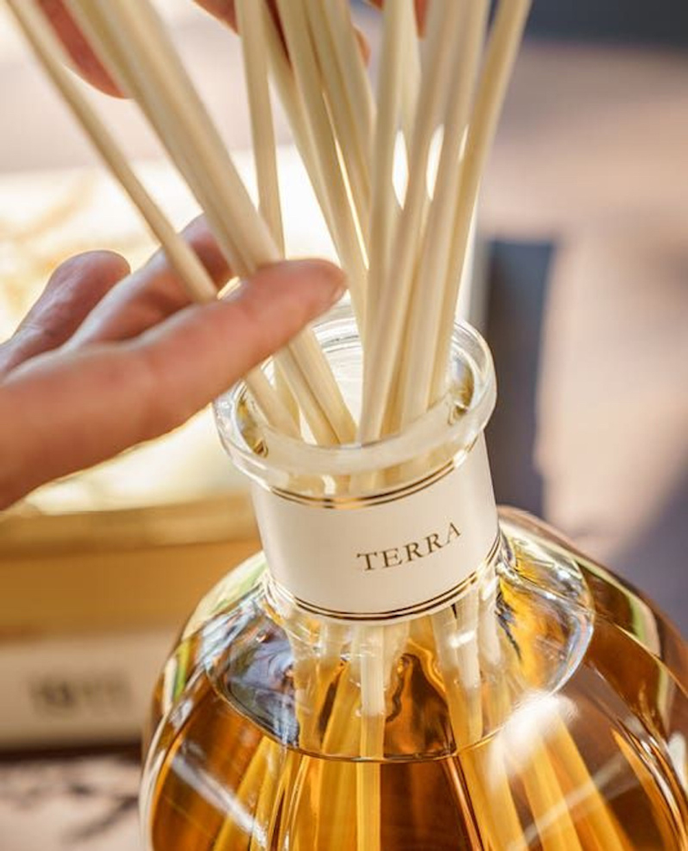 Dr. Vranjes Terra спрей ароматизатор воздуха (аромат Земля)