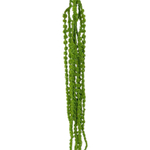 Амарант 80 см