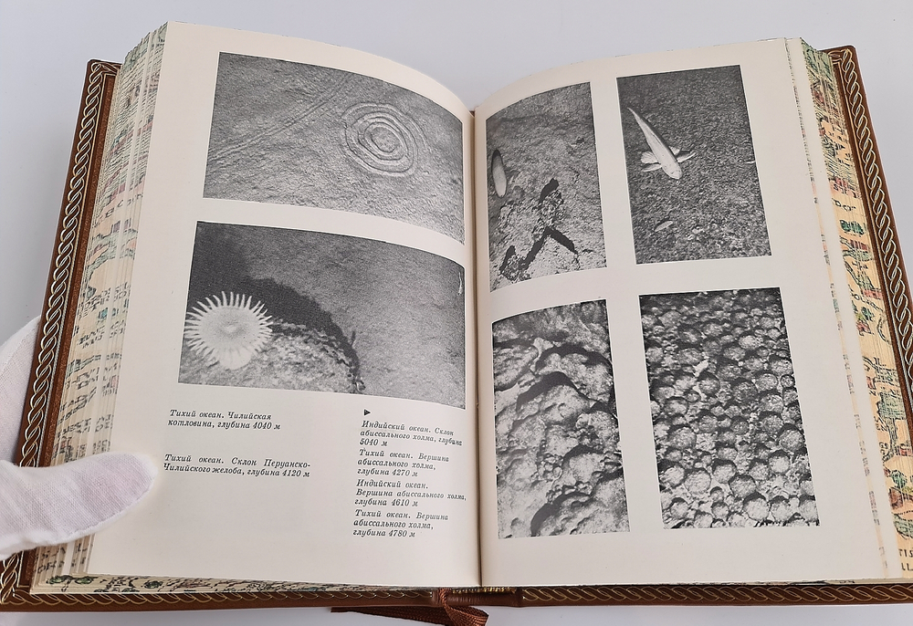 "За тайнами нептуна". А.А. Аксенов - подарочное издание