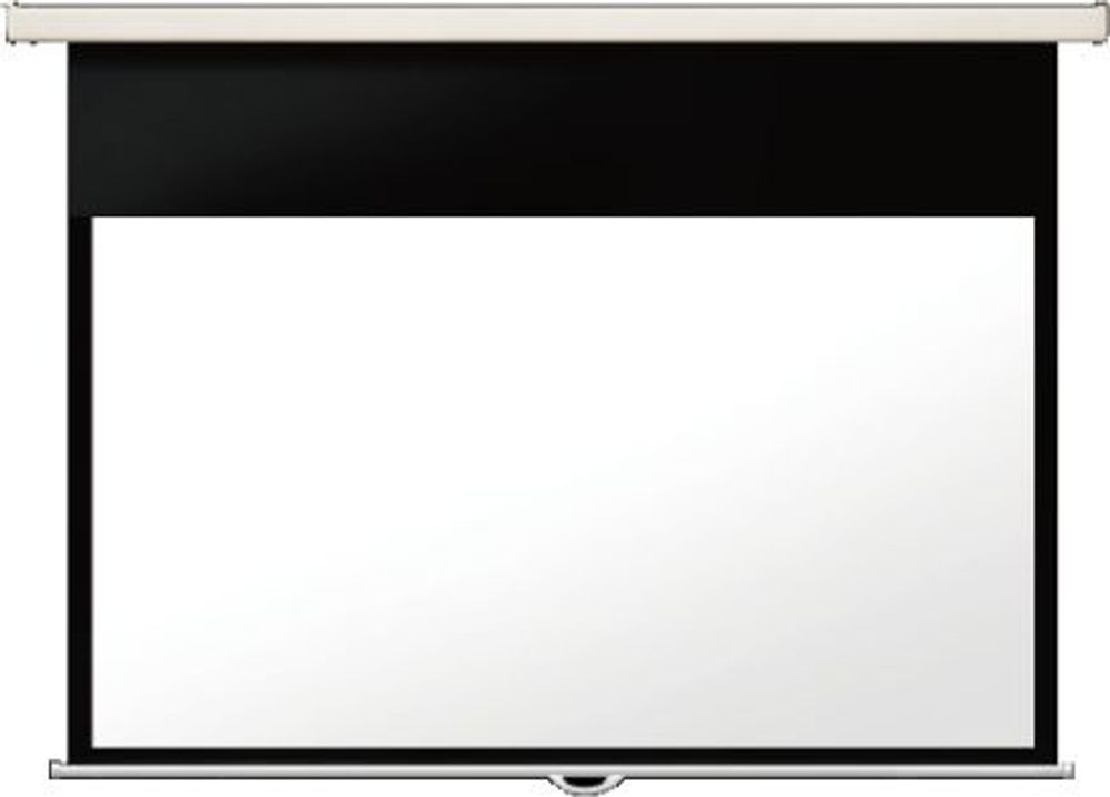 Экран Lumien 247x239см Master Picture LMP-100118CSR 1:1 настенно-потолочный рулонный