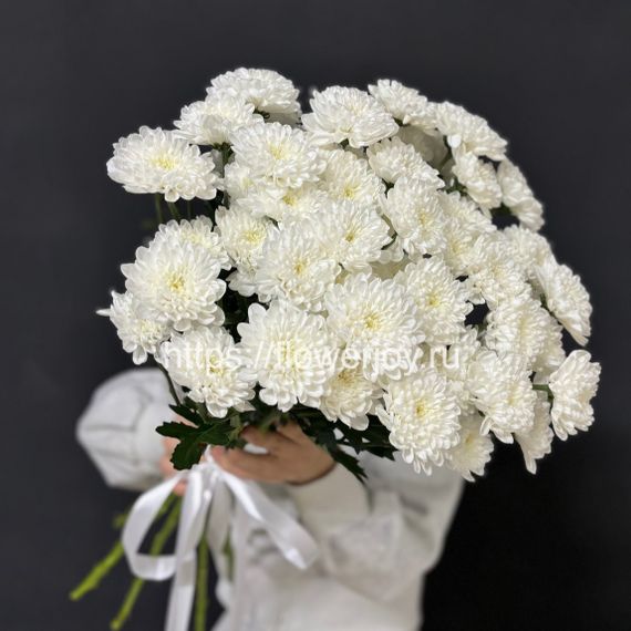 Букет из белых хризантем