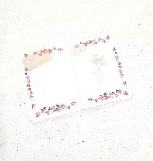 Блокнот 24 листа "Цветочный сад", линейка