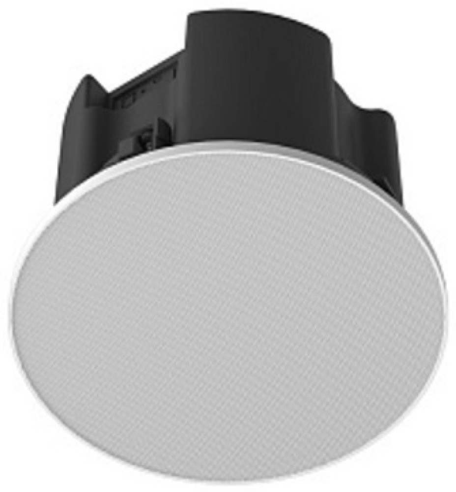 Акустическая система Nearity AW-ASP100