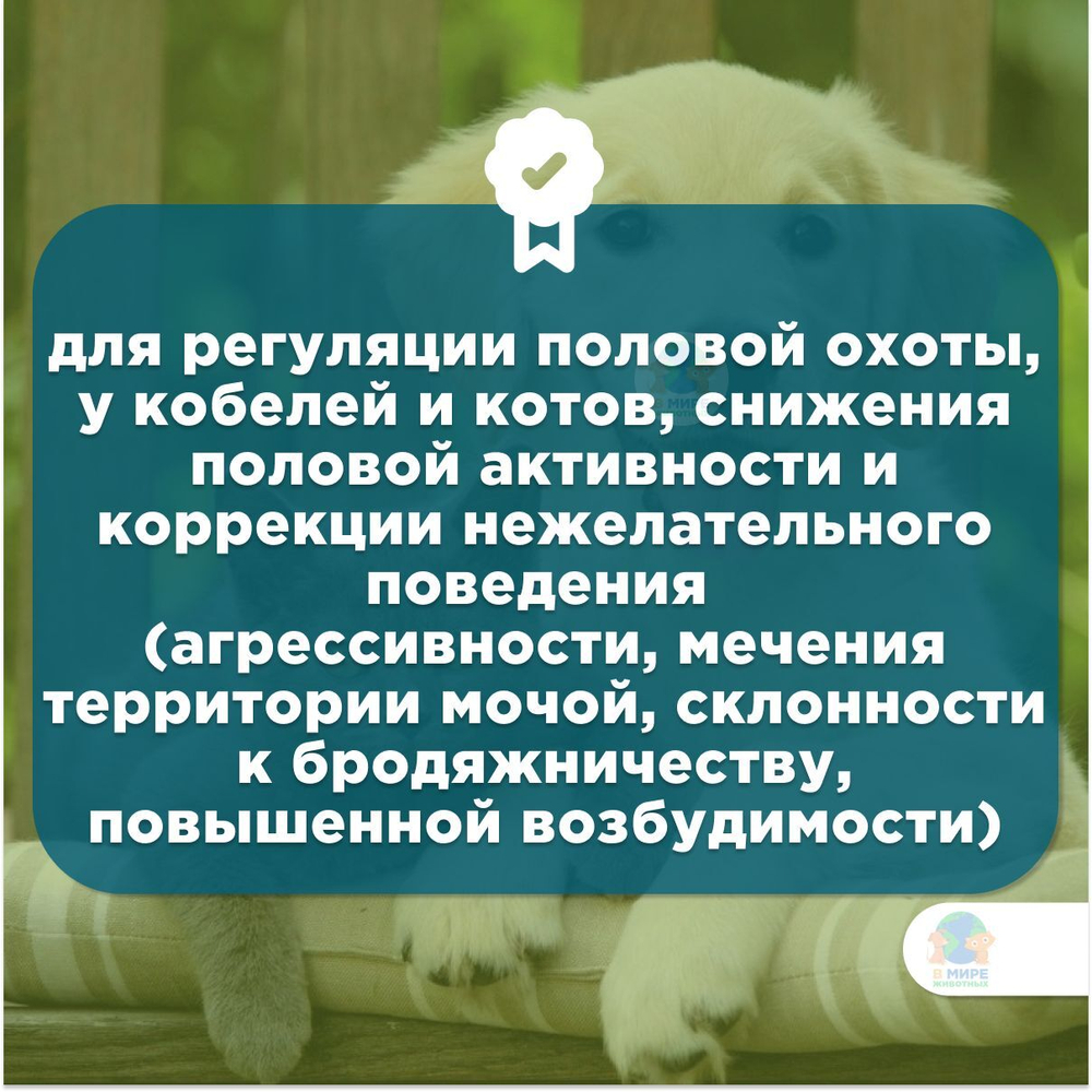АВЗ Средство для регуляции половой охоты ЭКС-7,5, для кошек и собак, 3 мл. Мегестрол ацетат.