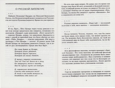 О русской литературе. Анатолий Пафнутьев