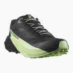 Кроссовки для бега Salomon Pulsar black/black/patina green