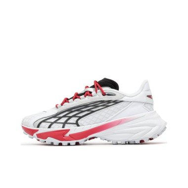 Женские кроссовки Puma Spirex Motogame 'White/Silver Mist' 397272-01