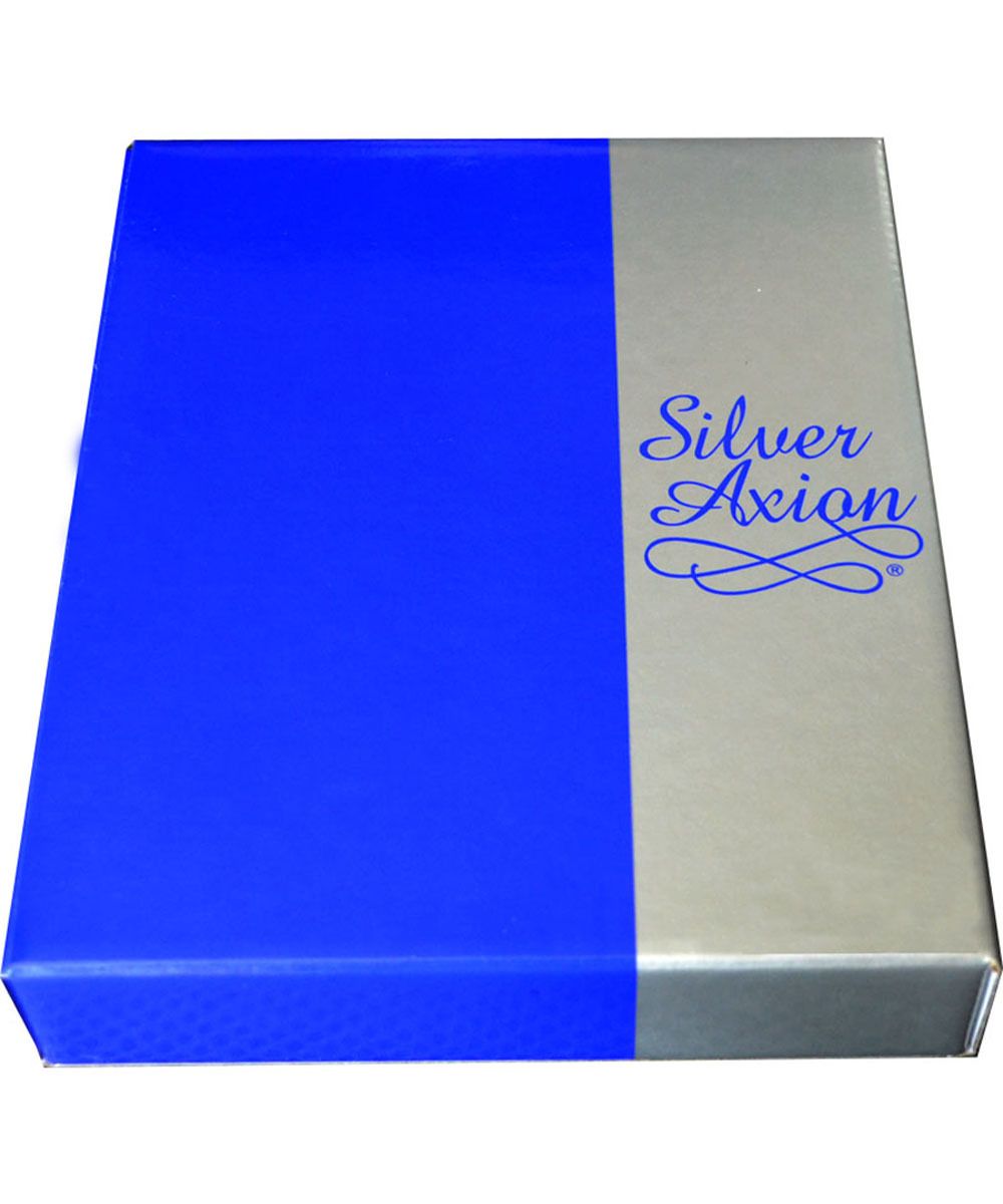 Всецарица. Икона в серебряной ризе.