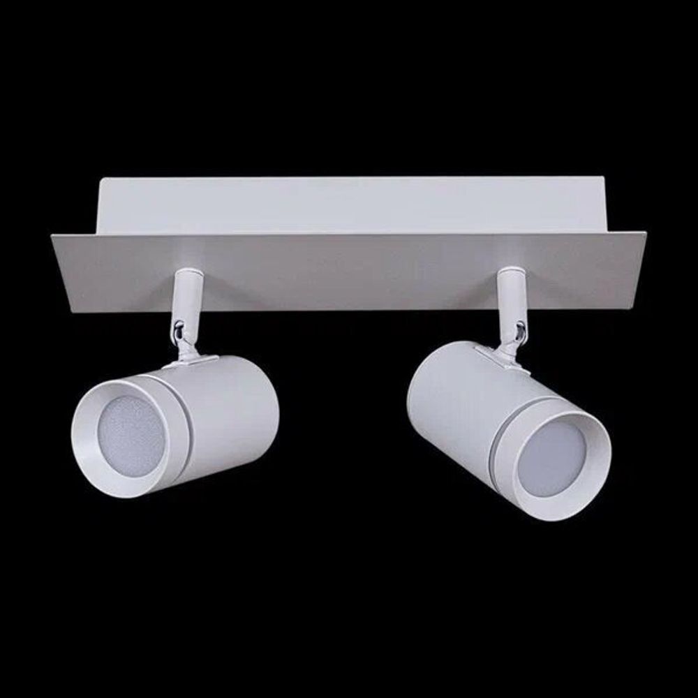 Светильник точечный светодиодный поворотный ГУСЬ-84281-9.5-002RT LED2*5W WT+SN