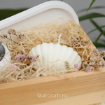 Подарочный бокс суккулент + свеча №1