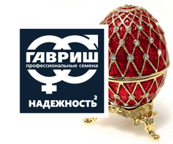 Яйца ФАБЕРЖЕ набор семян (Гавриш) – фото 2