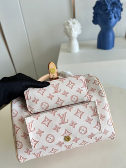Louis Vuitton Speedy  25