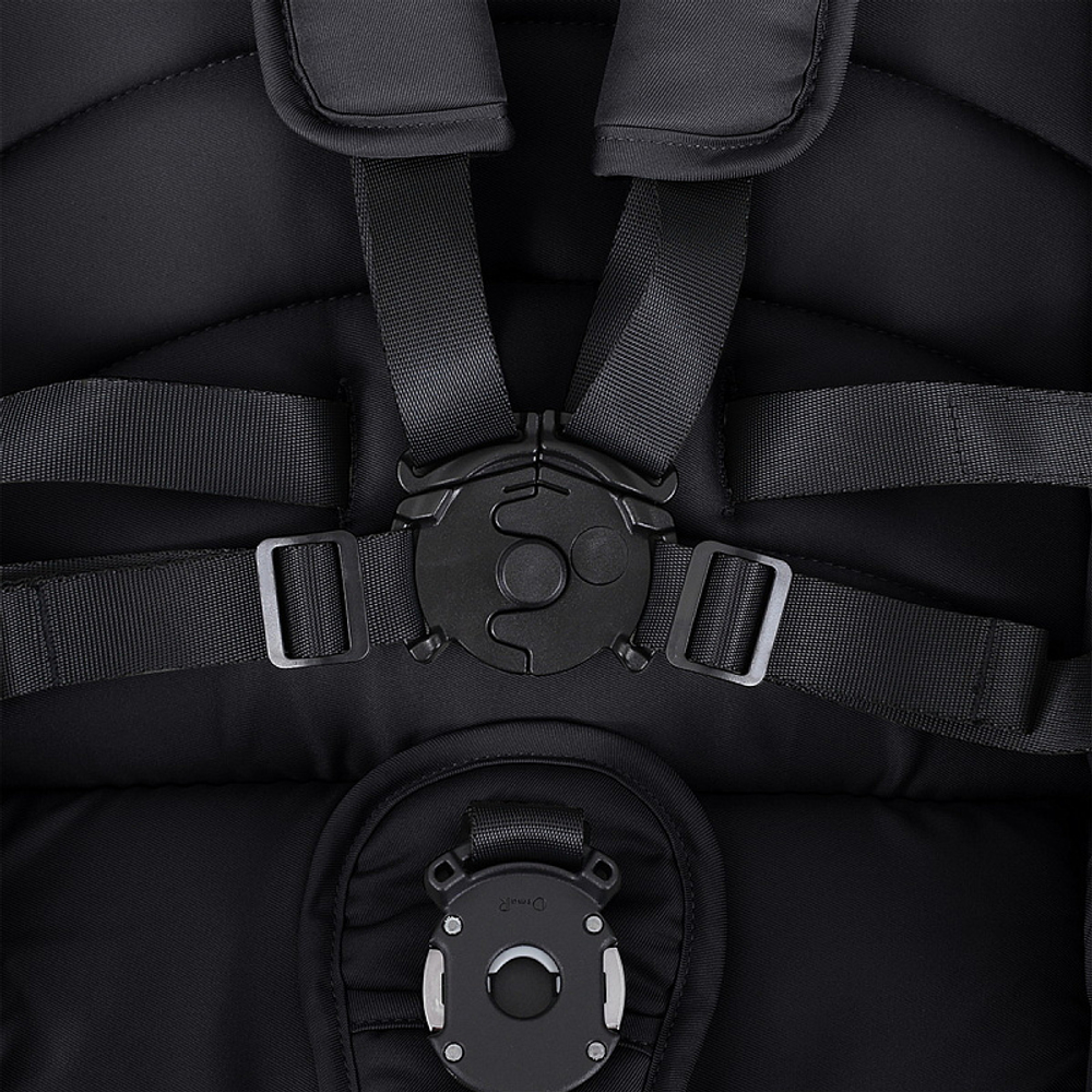 Детская коляска Rant Falcon Therm 3 в 1 Black