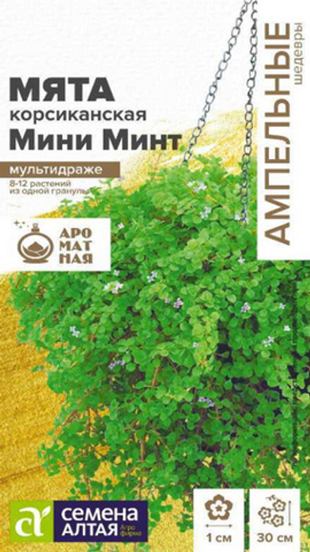 Mятa декоративная "G. Мини Минт" 3шт., Россия.