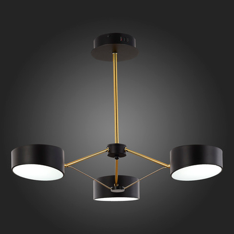 Светильник потолочный Evoluce Valle SLE6005-402-03