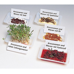 "От зародыша до взрослого растения" Комплект лабораторного оборудования