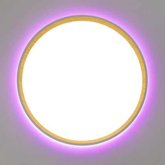 Потолочный светодиодный светильник Citilux Etalon CL750320R