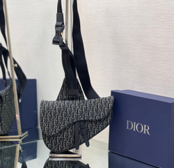Christian Dior Saddle 26 cm