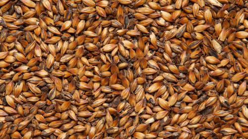 Солод ячменный пивоваренный "Карамельный 250", Курский солод