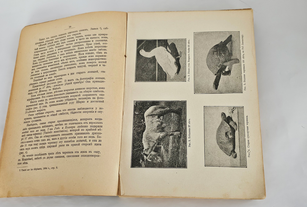 "Этюды оптимизма : С портр. автора и 27 рис". 1917г.