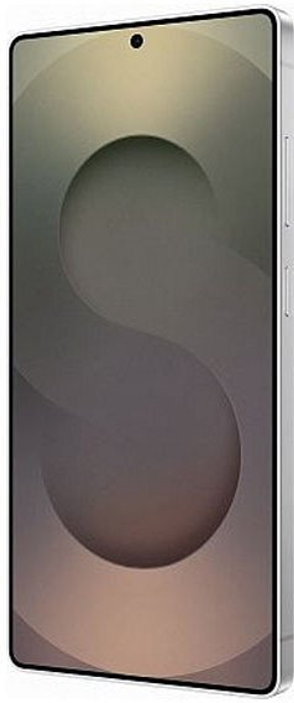 Samsung Galaxy S25 Ultra 12/512Gb Global Titanium Silver